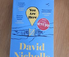 You Are Here by David Nicholls.
