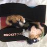 Rocketdog Crush Velvet Wedges size 7 Image 4