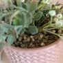 Floral pot Image 3
