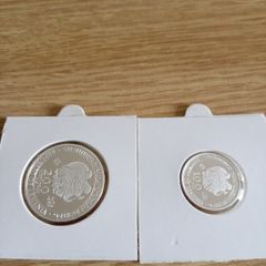 . 999 silver