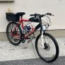 Phantom reaper v4 engine bike Image 2
