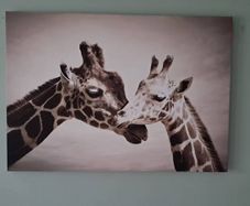 Canvas Wall Art