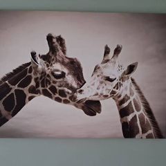 Canvas Wall Art