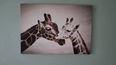 Canvas Wall Art