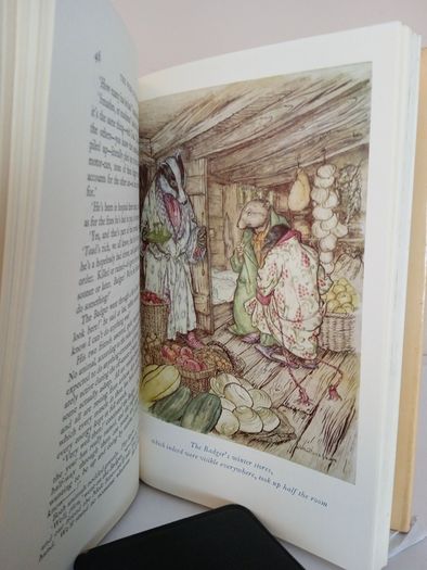The Wind in the Willows by Kenneth Grahame. Illustrated by Arthur Rackham (PT170)