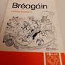 old Gaeilge Fallons school book Athas Image 5