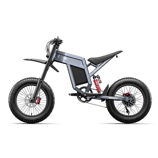 Shengmilo S900 Electric Bike