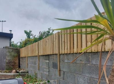 timber fencing