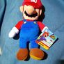 Super Mario And Luigi  9 Inch Plush Soft Toys Image 4