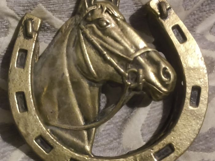 two brass horse shoe door knockers