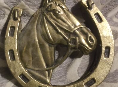 two brass horse shoe door knockers