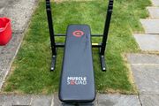 Exercise bench. Muscle squad.