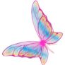 Fairy wings Image 8