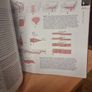 Introducing Tectonics, Rock Structures and Mountain Belts (Introducing Earth.(Paperback) Image 5