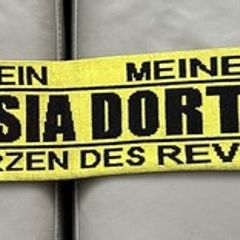 Football Scarf BVB Borussia Dortmund