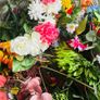 flowers Image 7