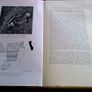Journal of the Royal Society of Antiquaries of Ireland 1935 Image 3