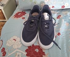 Trainers