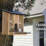 Bird feeder Image 2