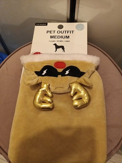 Velour reindeer festive dog coat
