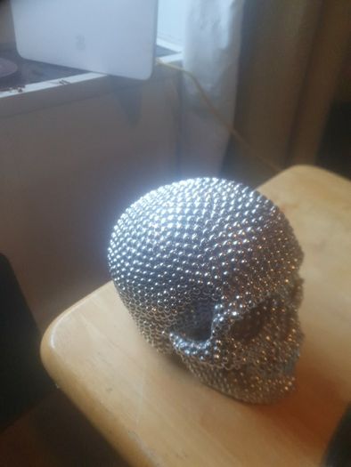 skull