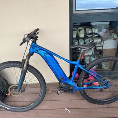 ebike