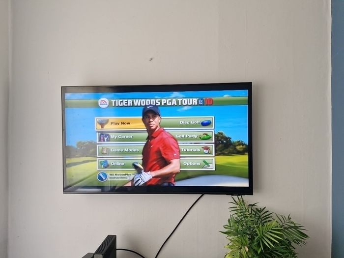 Nintendo Wii Tiger Woods PGA 10 game