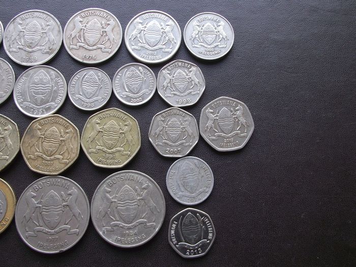 A Lot of 130 grams coins from Botswana (1976-2013)