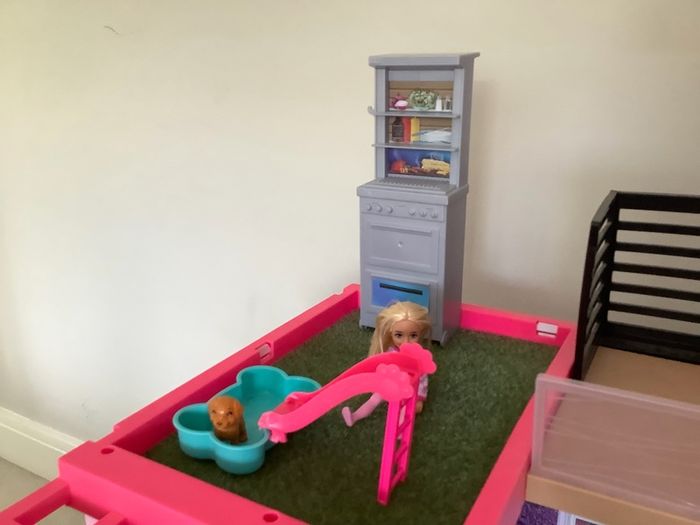 Barbie Dreamhouse, dolls & accessories