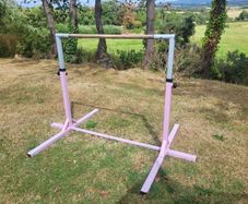gymnastics bars