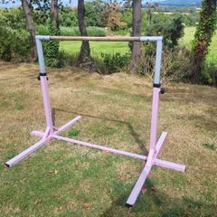 gymnastics bars