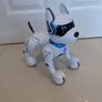 Ziggy Robo Dog Image 8
