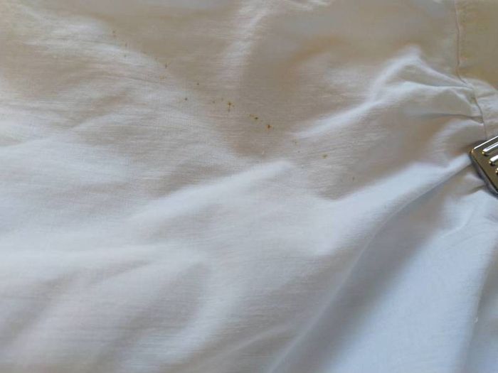 Antique Bloomers