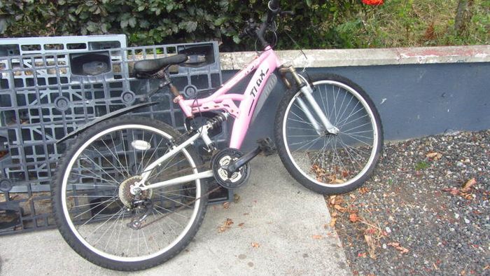 Ladies Mountain Bike