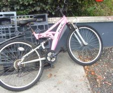 Ladies Mountain Bike