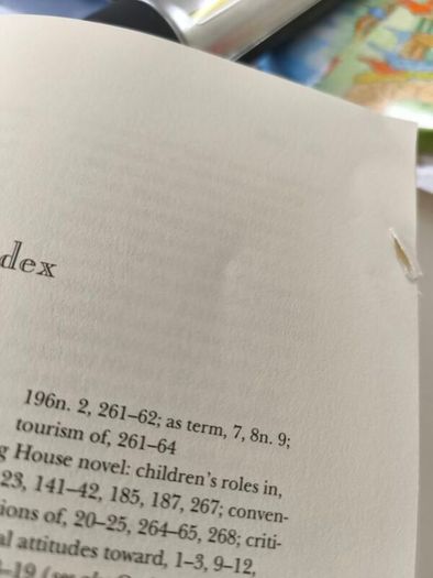 The Anglo Irish Novel and the Big House by Vera Kreilkamp