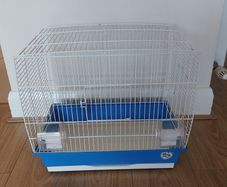 Birds cage