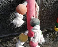 pet cage toys
