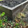 Raised Garden Beds Image 4