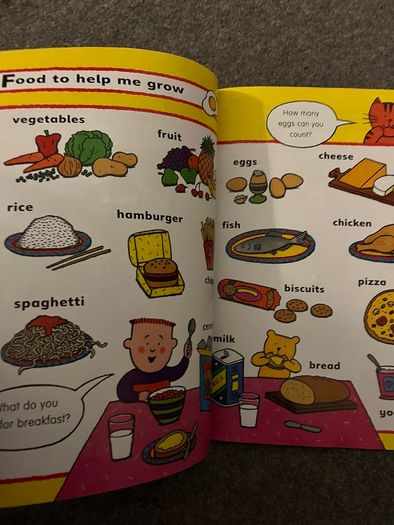 First Picture Dictionary