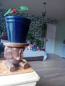 Elephant plant stand