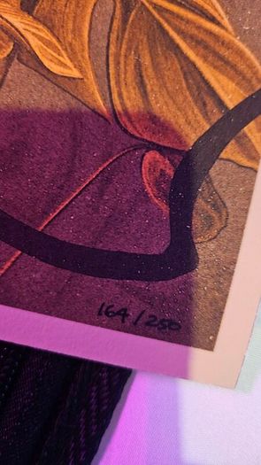 The Last Of Us - Jake Kontou print/ VARY RARE 164/250