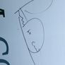 Tony McCoy's signed book, 20 times champion jockey, legend of a jockey in horse racing ,,collectors item. Image 2