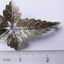 Vintage Silver Tone Marcasite Maple Leaf Brooch Image 7