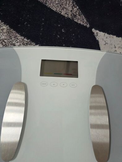 Bathroom scale