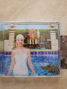 Stone Temple Pilots CD  - Tiny Music...