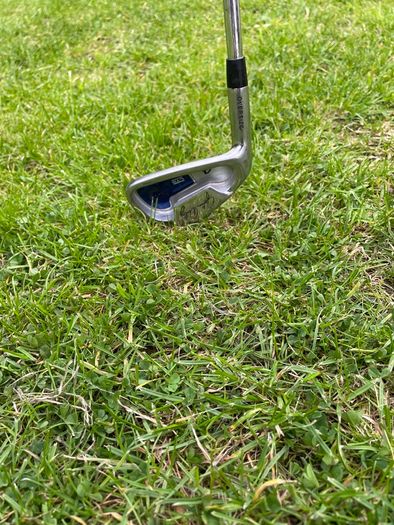 John daly stainless steel left handed