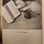 Sold For A Farthing By Clare Kipps. With Forward  By  Julian Huxley. Second  Impression Hardback With Dustjacket In Good Condition. 35. Image 7