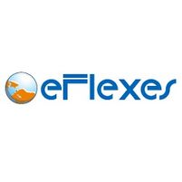 eFlexes Staffing and Recruitment Jobs in Ireland