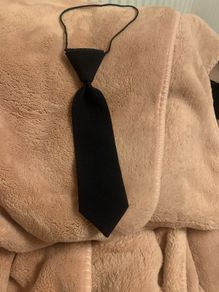 Navy school tie